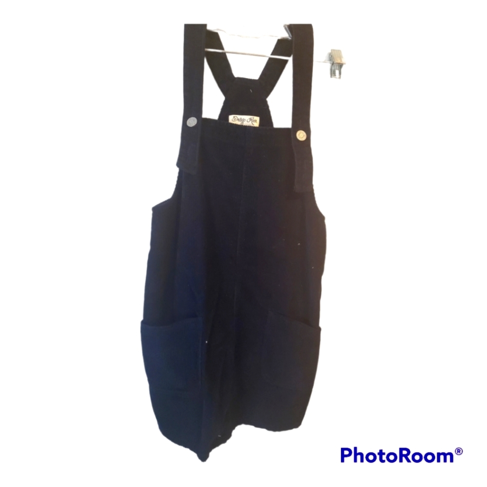 Indigo Rein Velvet Dress